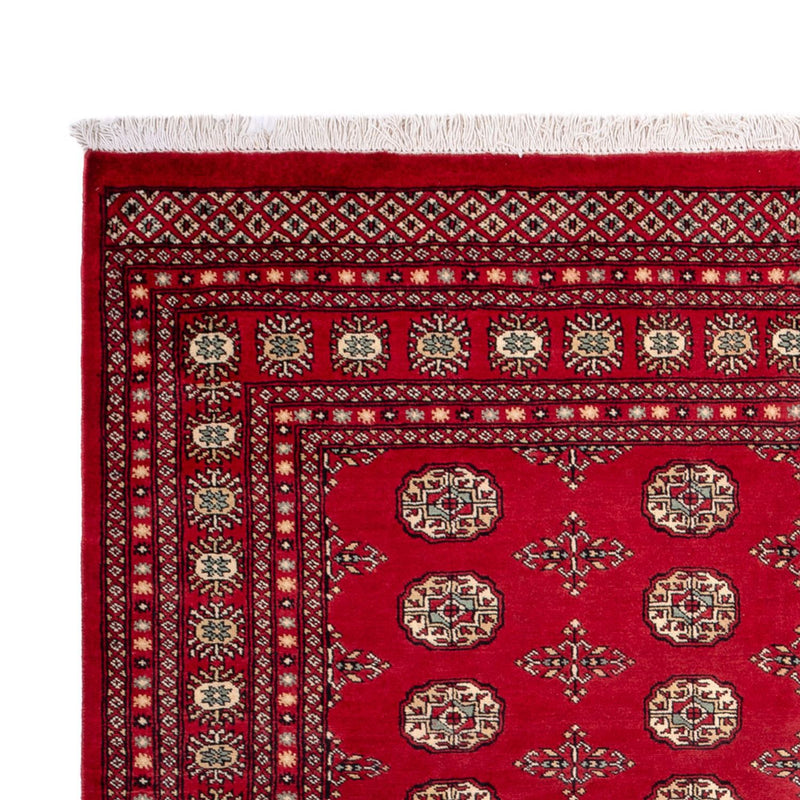 Tappeto afgano - Bukhara - 318 x 210 cm - rosso