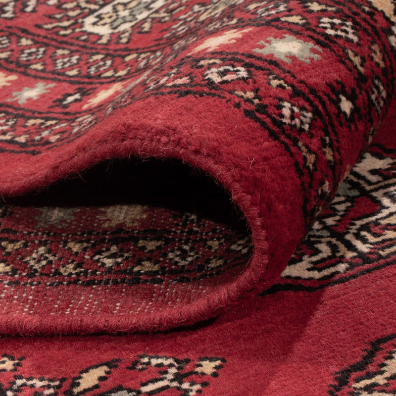 Tappeto afgano - Bukhara - 318 x 210 cm - rosso