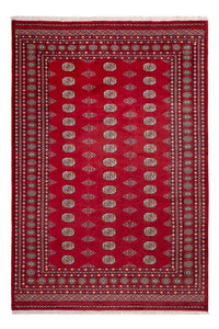 Tappeto afgano - Bukhara - 308 x 207 cm - rosso