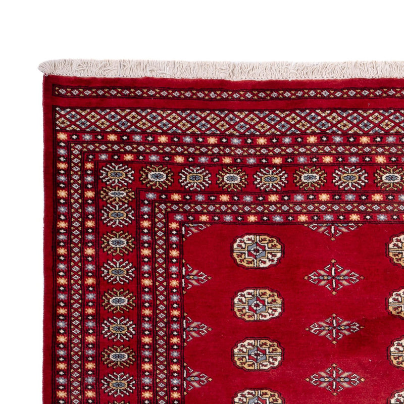Tappeto afgano - Bukhara - 308 x 207 cm - rosso