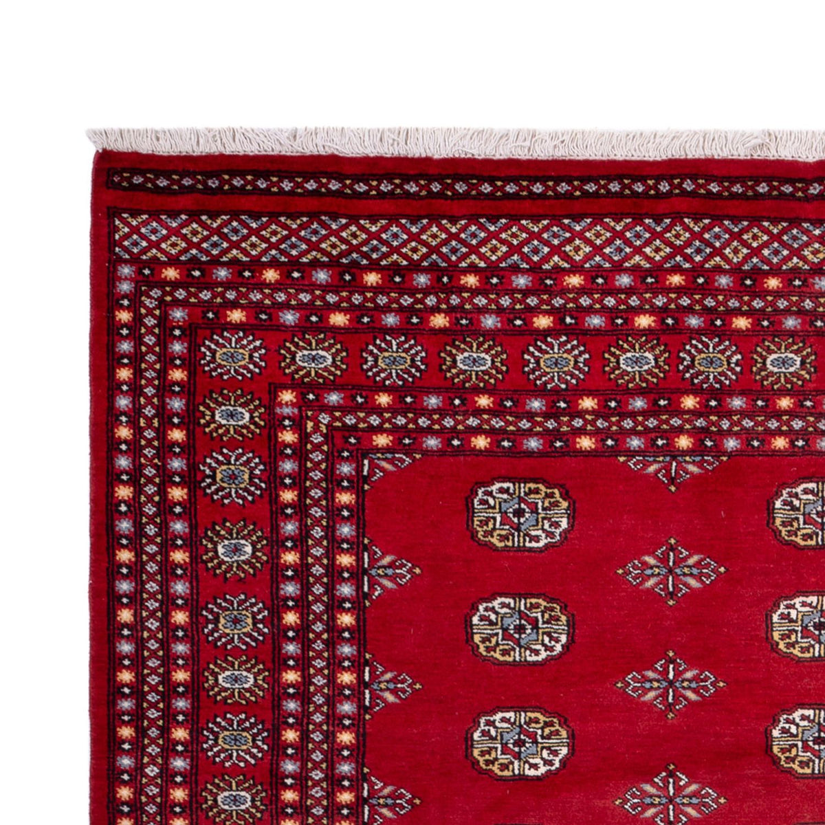 Tappeto afgano - Bukhara - 314 x 202 cm - rosso