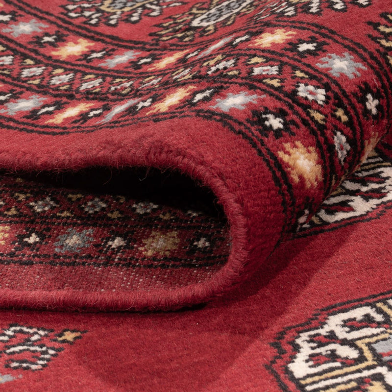 Tappeto afgano - Bukhara - 314 x 202 cm - rosso