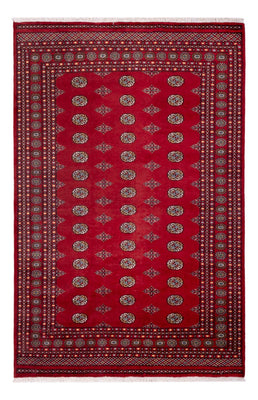 Tappeto afgano - Bukhara - 306 x 202 cm - rosso