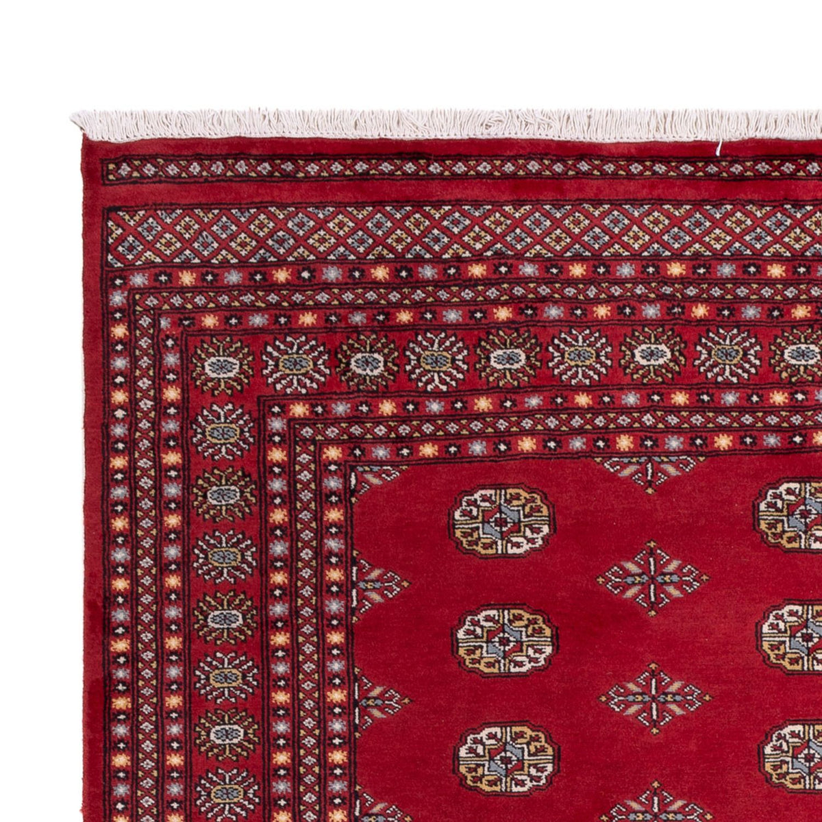 Tappeto afgano - Bukhara - 306 x 202 cm - rosso