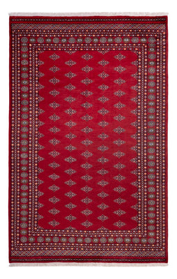 Tappeto afgano - Bukhara - 317 x 204 cm - rosso