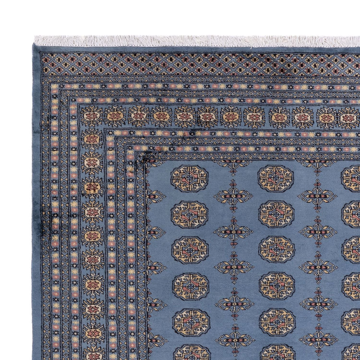 Tappeto afgano - Bukhara - 307 x 250 cm - blu