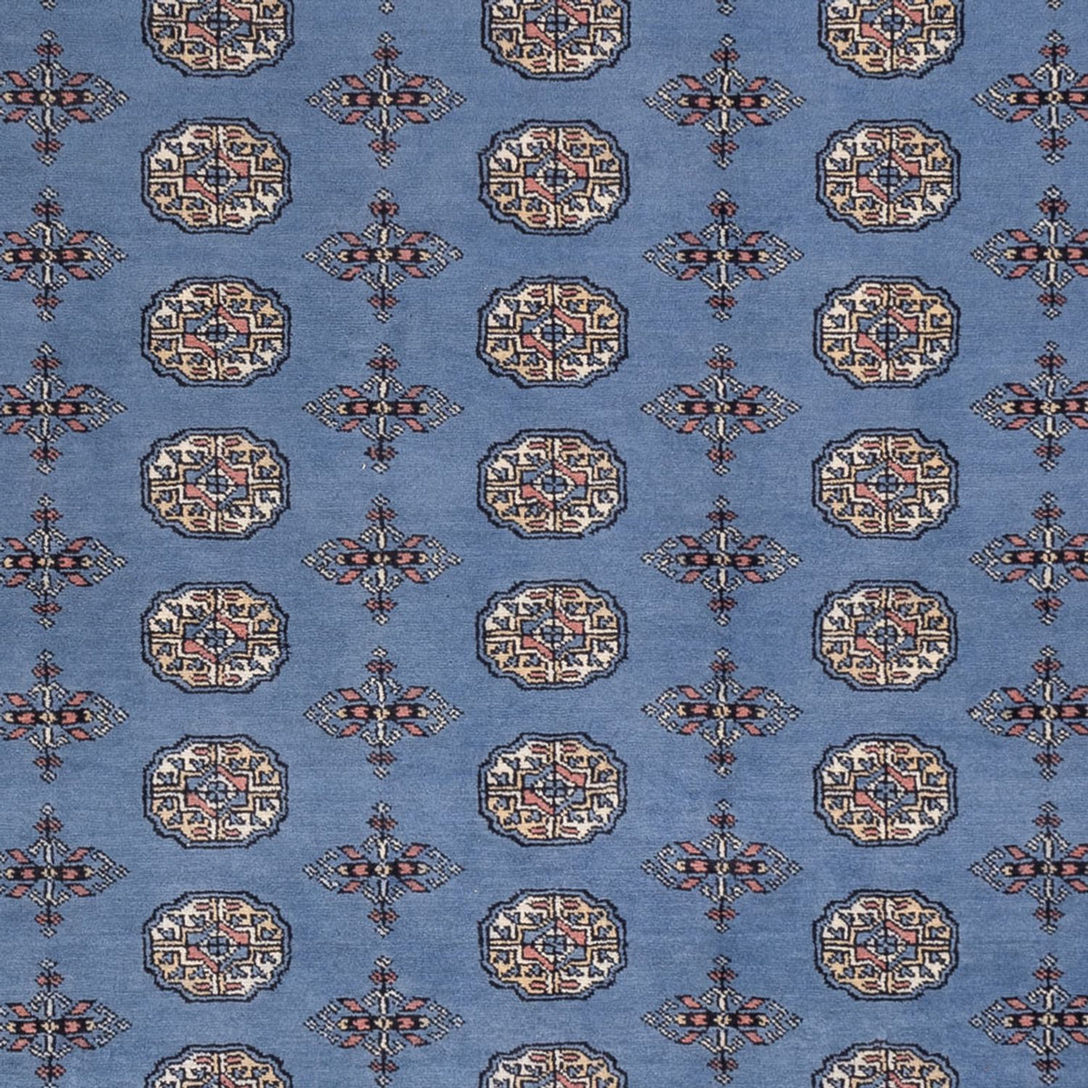 Tappeto afgano - Bukhara - 297 x 250 cm - blu