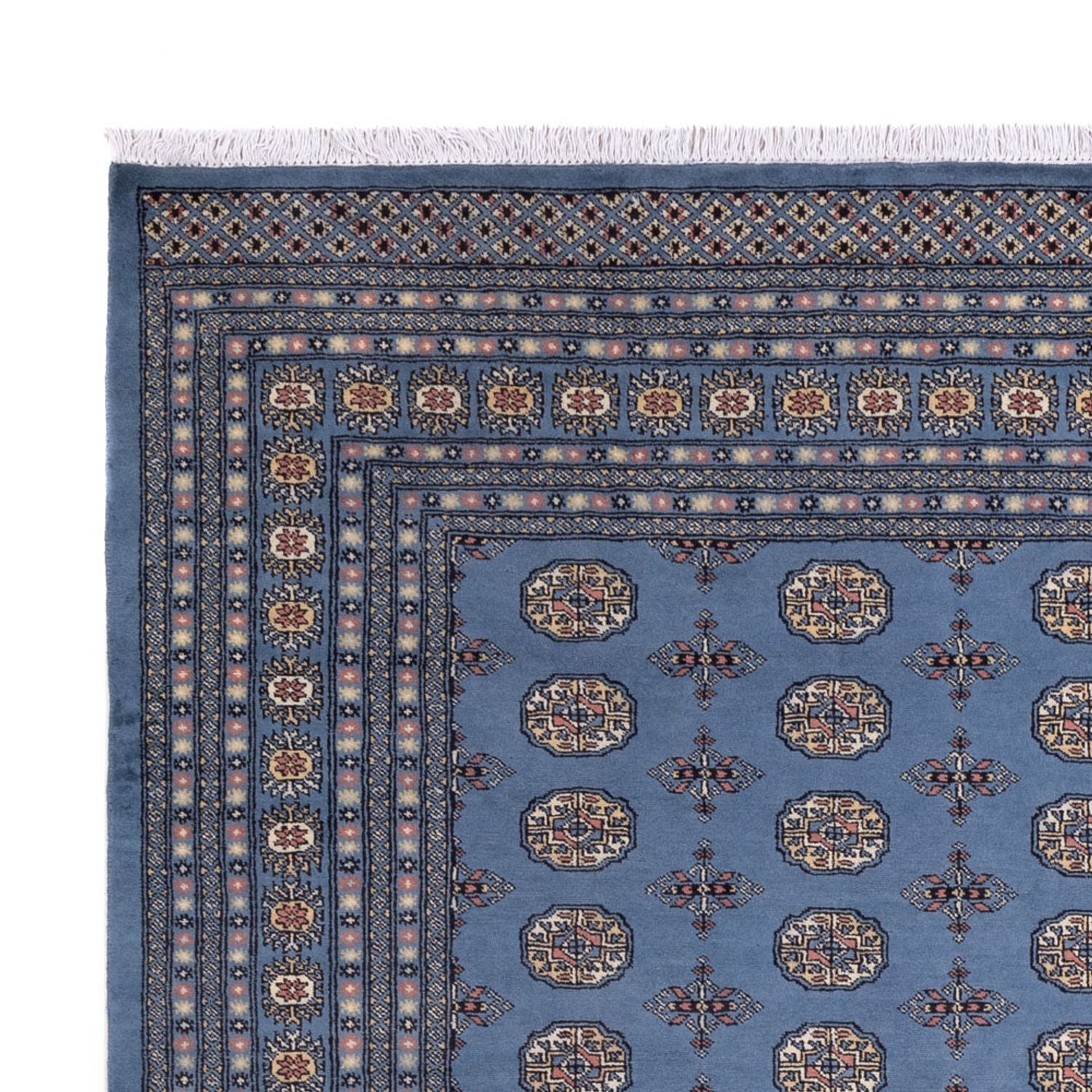 Tappeto afgano - Bukhara - 297 x 250 cm - blu