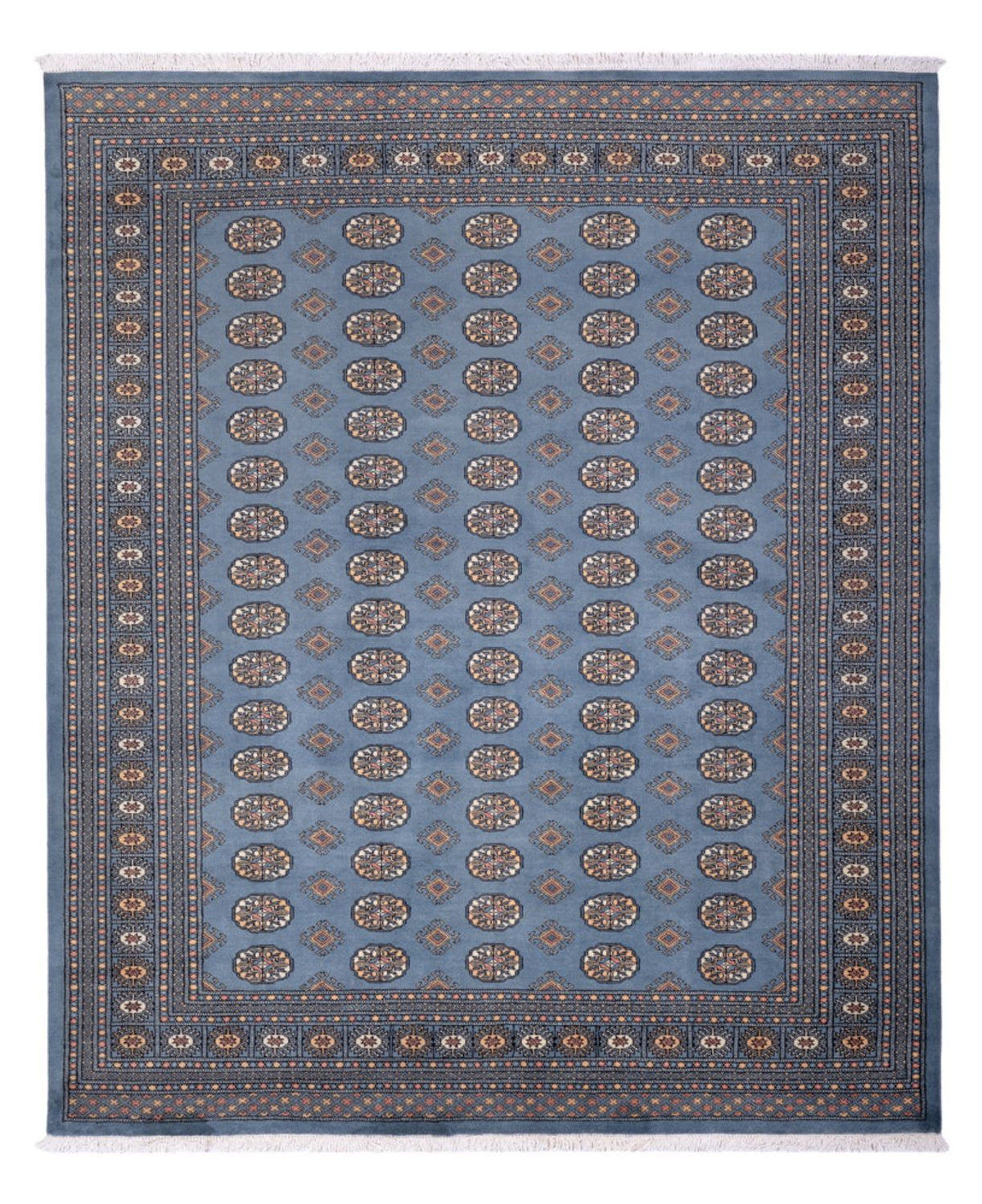 Tappeto afgano - Bukhara - 305 x 249 cm - blu chiaro