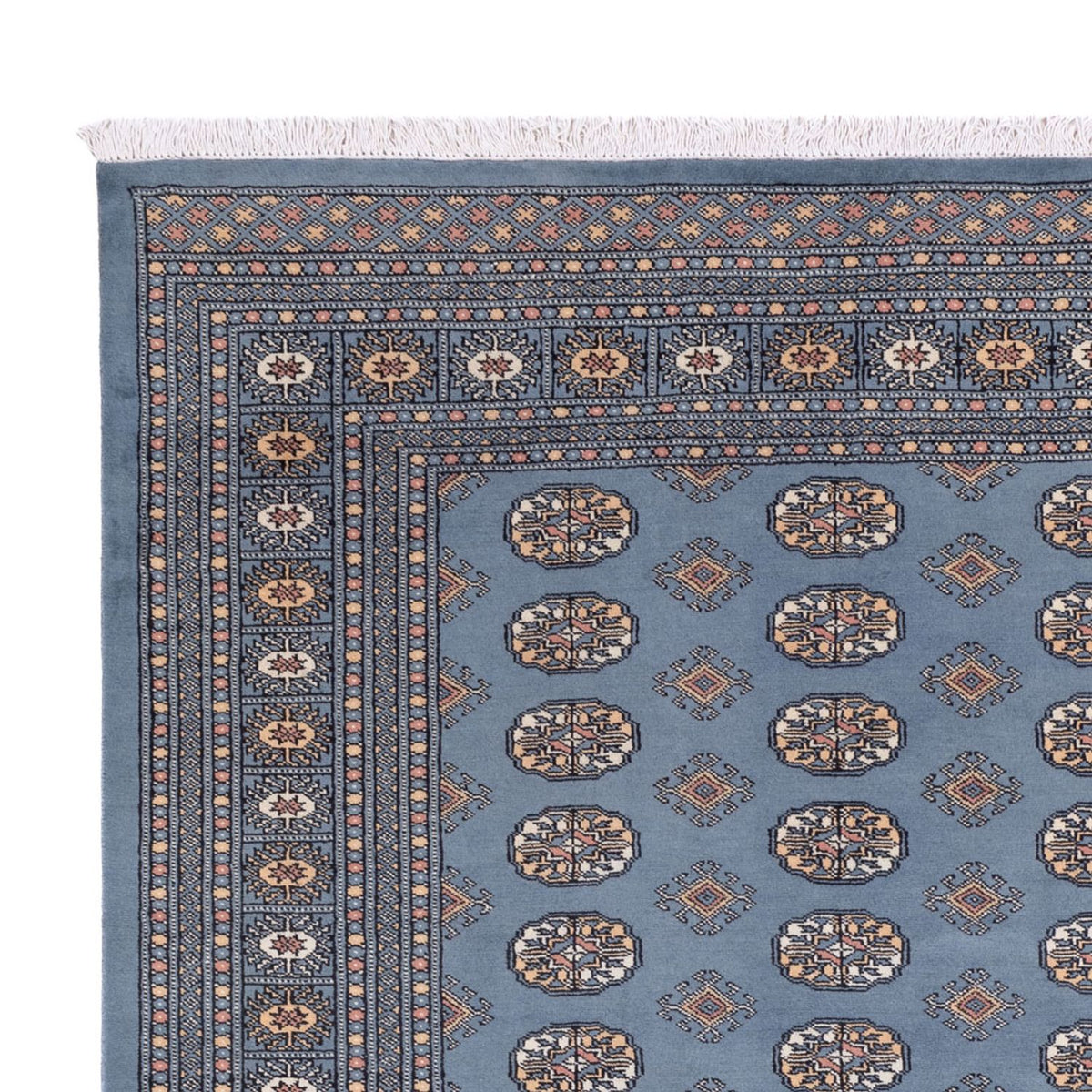 Tappeto afgano - Bukhara - 305 x 249 cm - blu chiaro