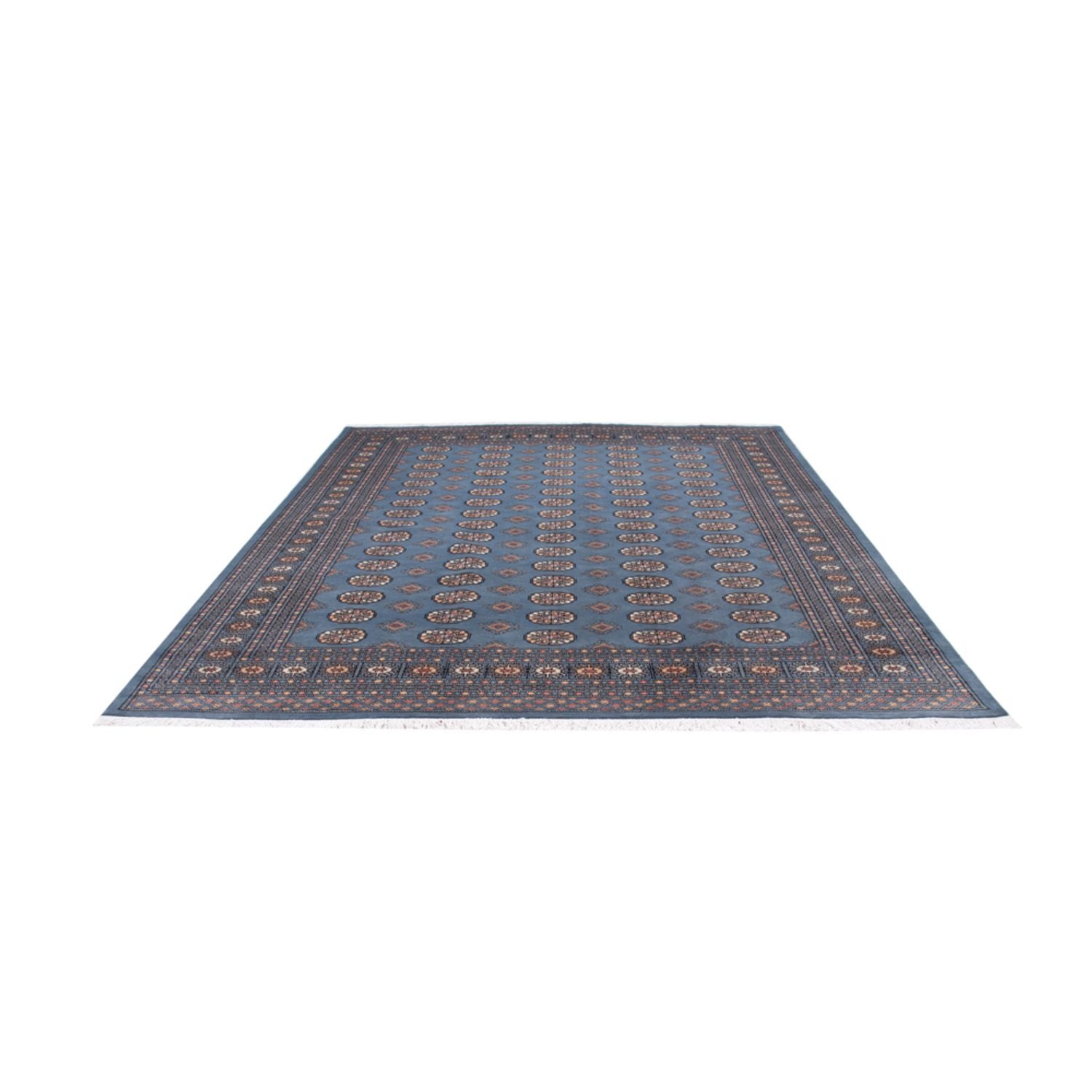 Tappeto afgano - Bukhara - 305 x 249 cm - blu chiaro