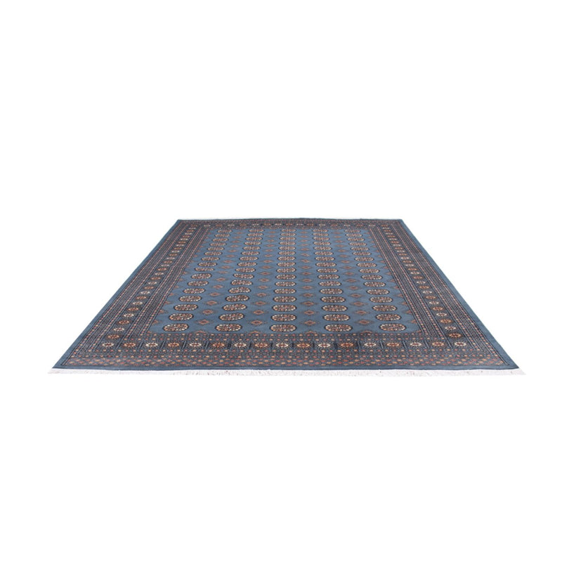 Tappeto afgano - Bukhara - 305 x 249 cm - blu chiaro