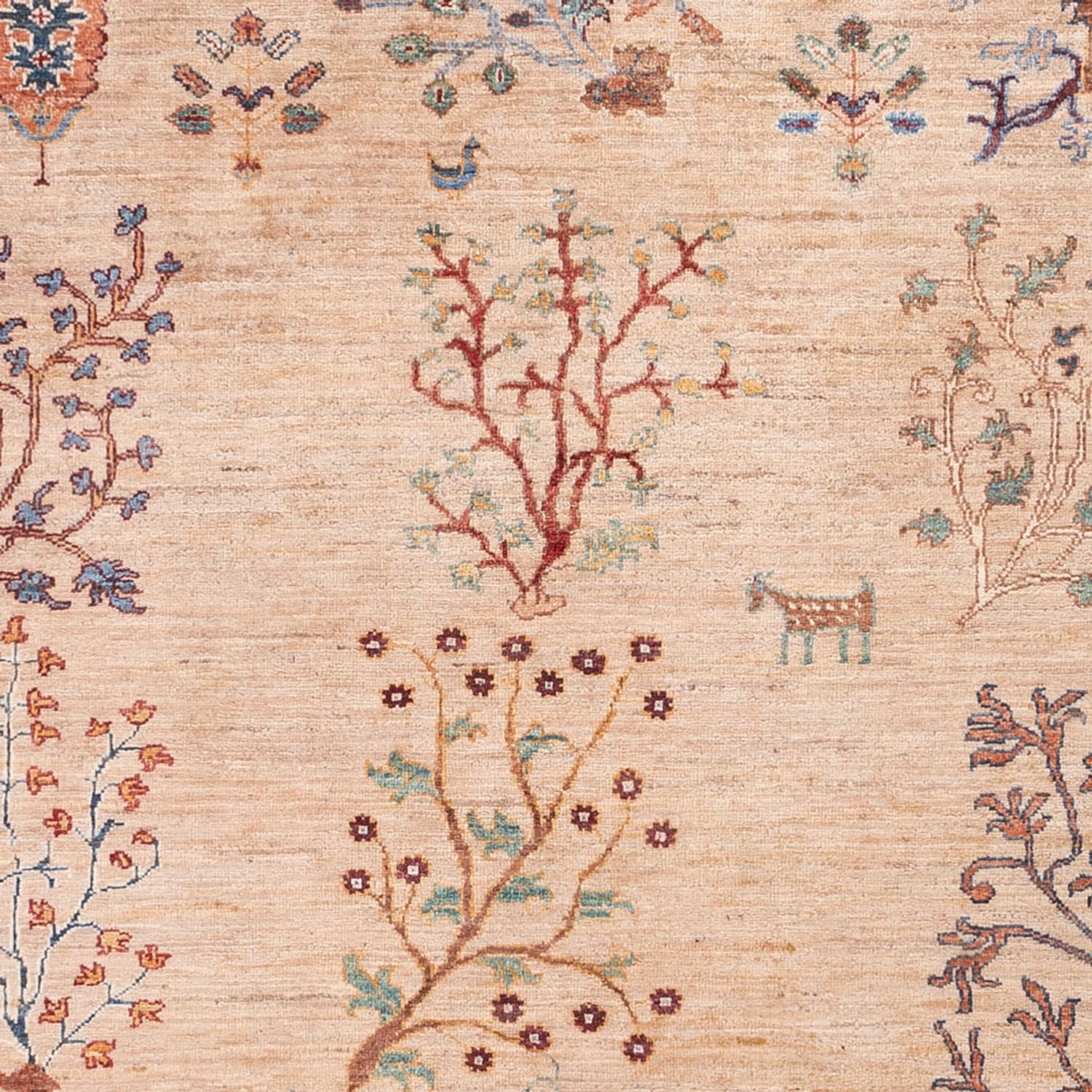 Tappeto Ziegler - Ariana - 293 x 206 cm - beige chiaro