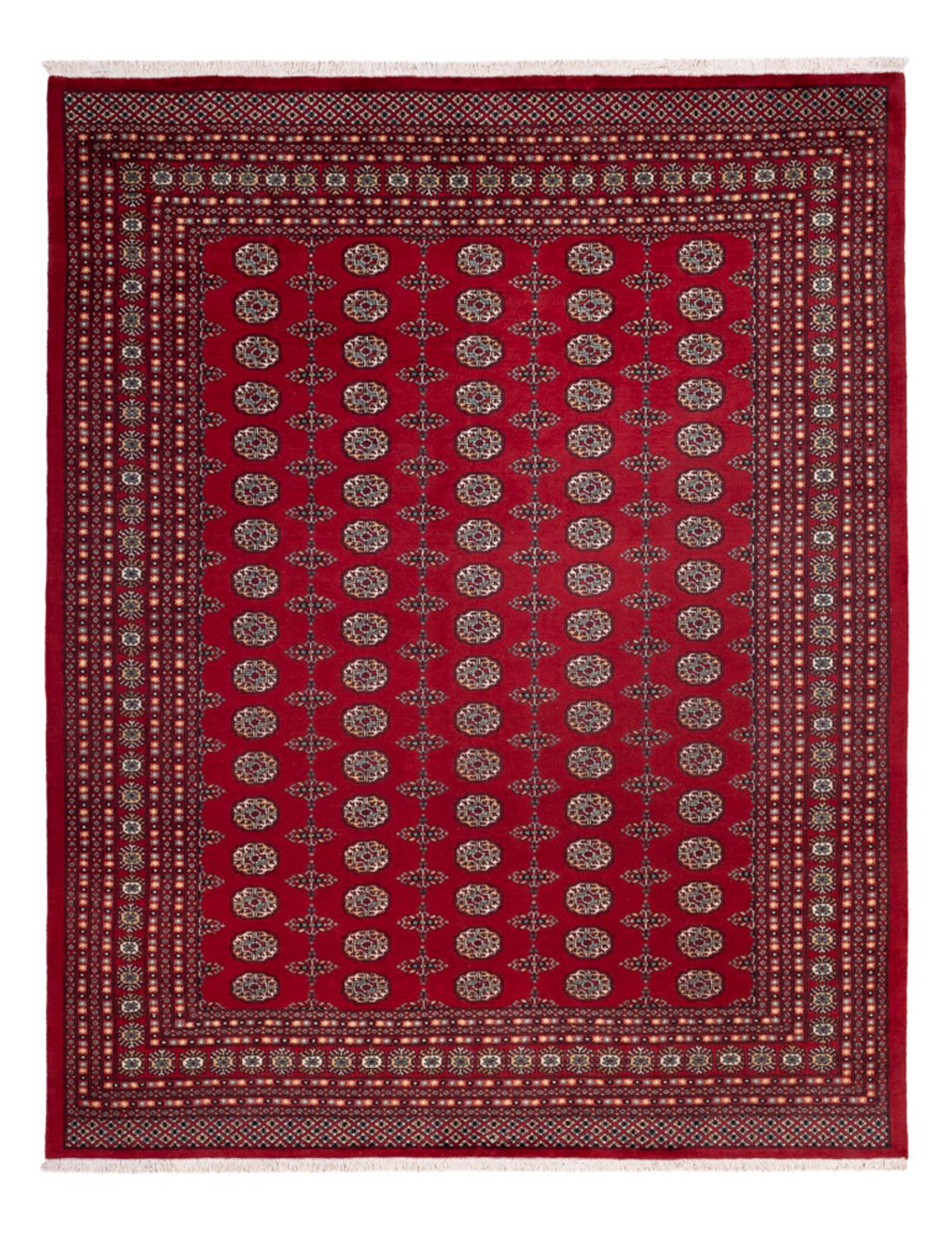 Tappeto afgano - Bukhara - 309 x 246 cm - rosso