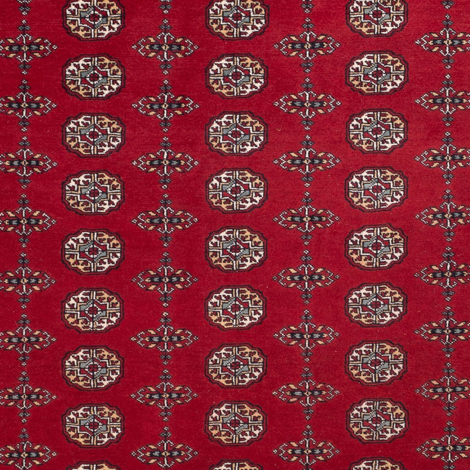Tappeto afgano - Bukhara - 309 x 246 cm - rosso