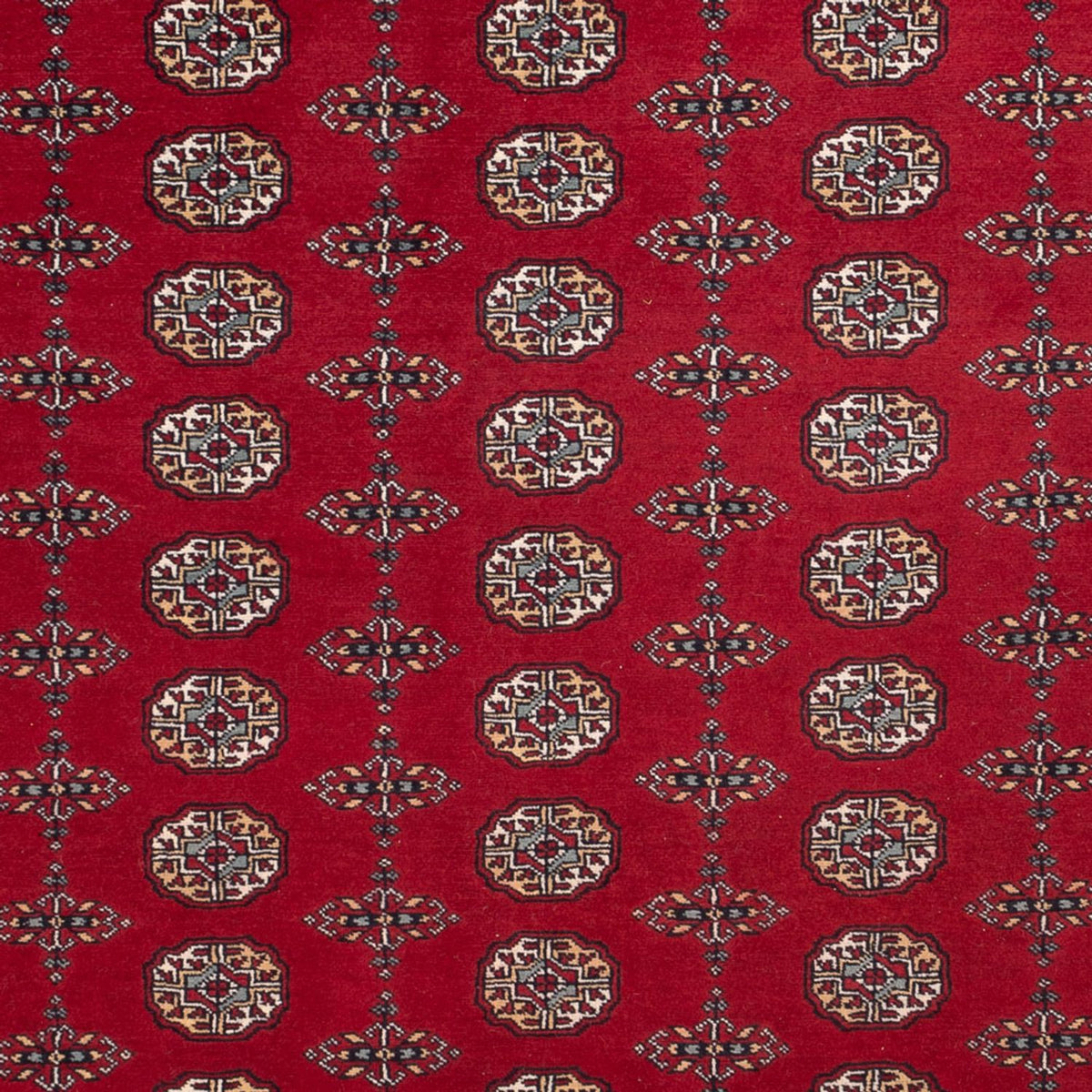 Tappeto afgano - Bukhara - 309 x 246 cm - rosso