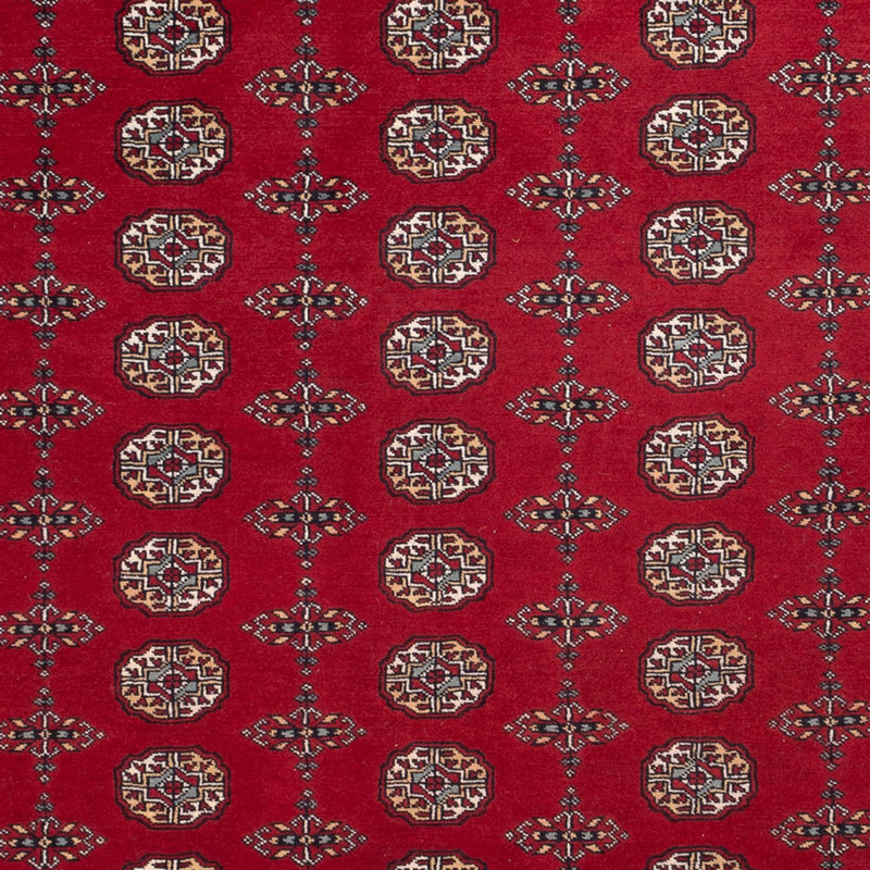 Tappeto afgano - Bukhara - 309 x 246 cm - rosso