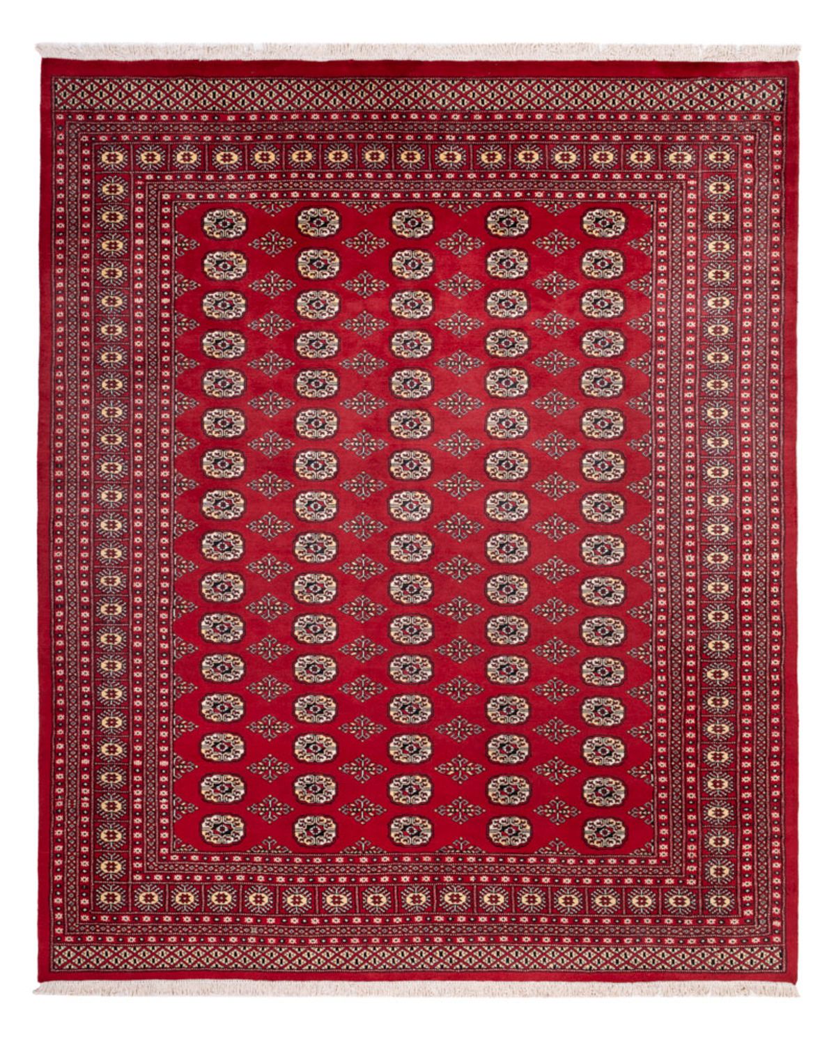 Tappeto afgano - Bukhara - 305 x 244 cm - rosso