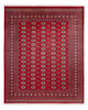 Bukhara Tappeto 305x244cm - Tappeto orientale