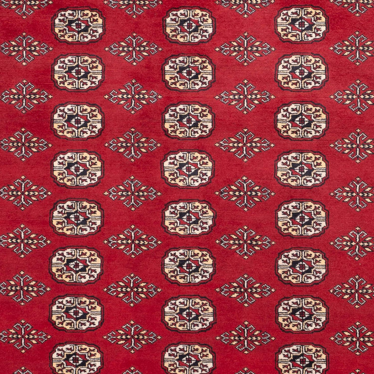 Tappeto afgano - Bukhara - 305 x 244 cm - rosso