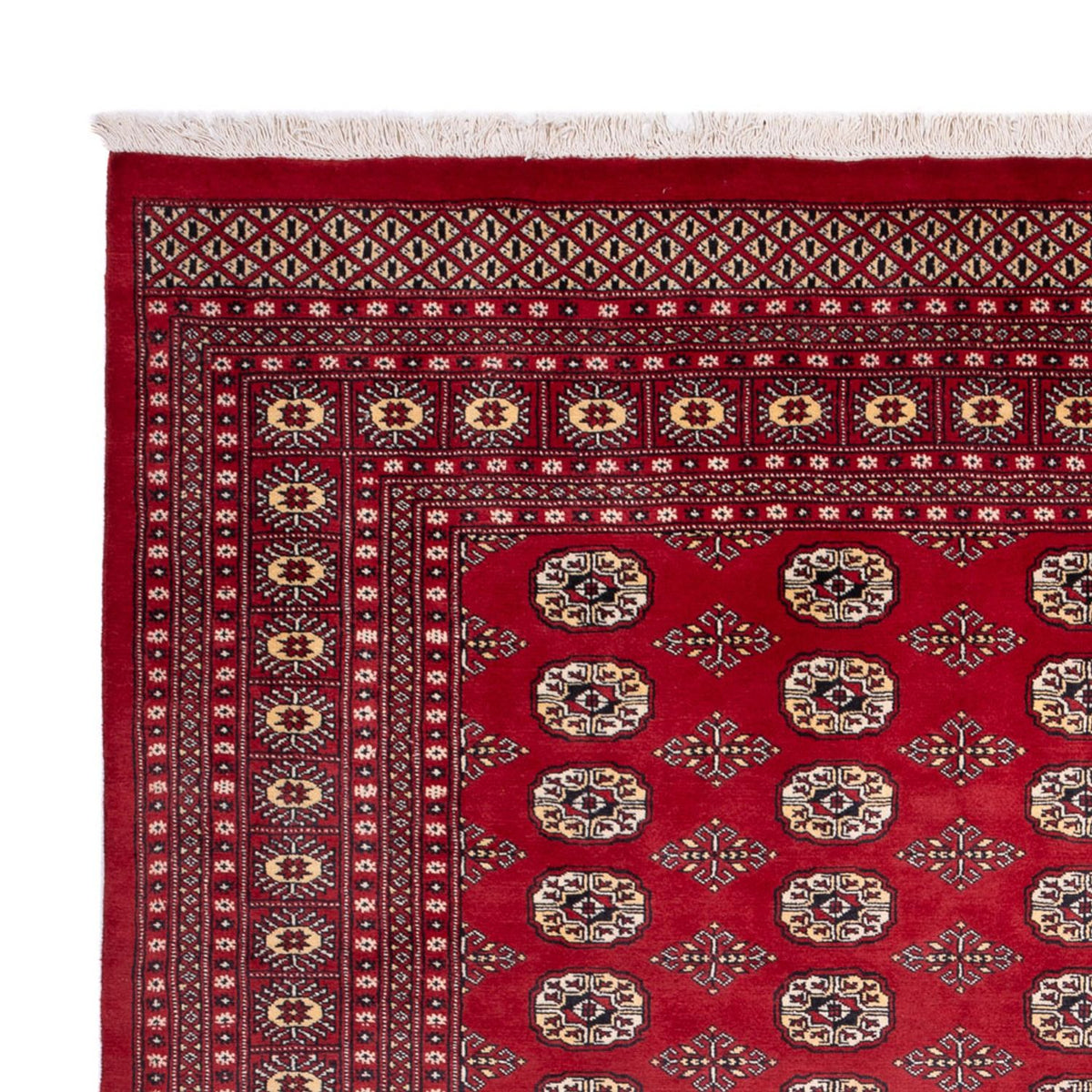 Tappeto afgano - Bukhara - 305 x 244 cm - rosso