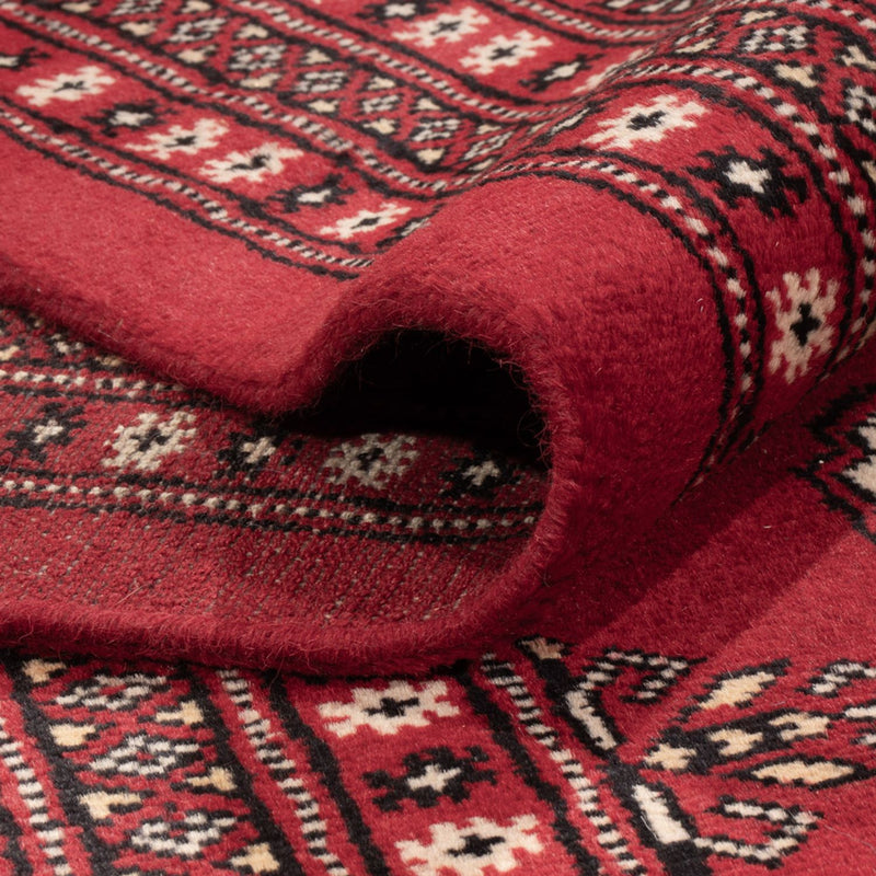 Tappeto afgano - Bukhara - 305 x 244 cm - rosso