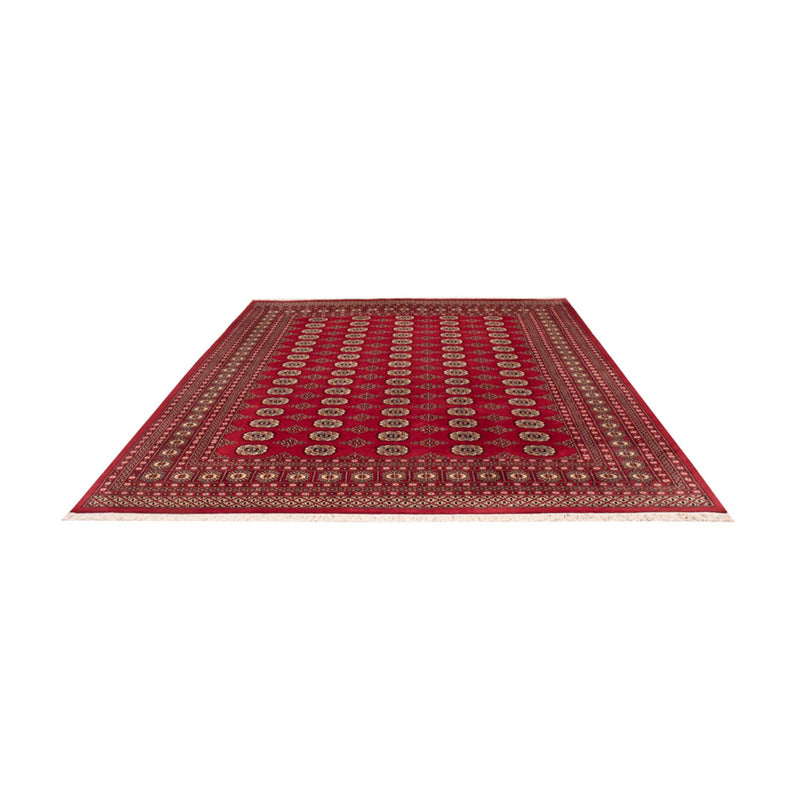Tappeto afgano - Bukhara - 305 x 244 cm - rosso