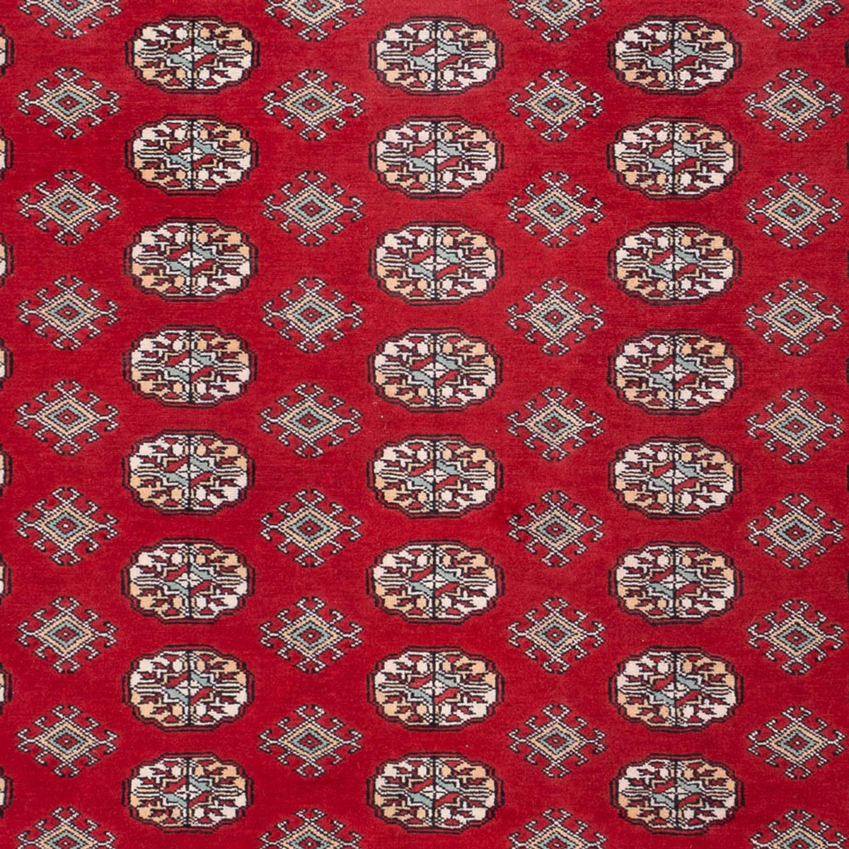 Tappeto afgano - Bukhara - 296 x 250 cm - rosso