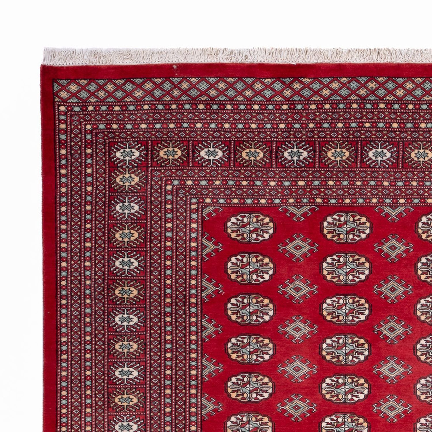 Tappeto afgano - Bukhara - 296 x 250 cm - rosso