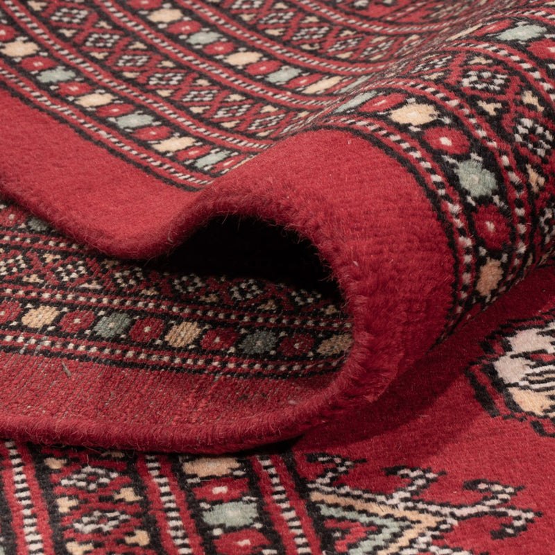 Tappeto afgano - Bukhara - 296 x 250 cm - rosso
