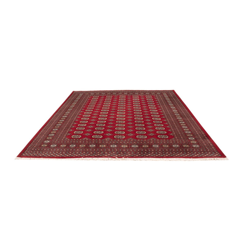 Tappeto afgano - Bukhara - 296 x 250 cm - rosso