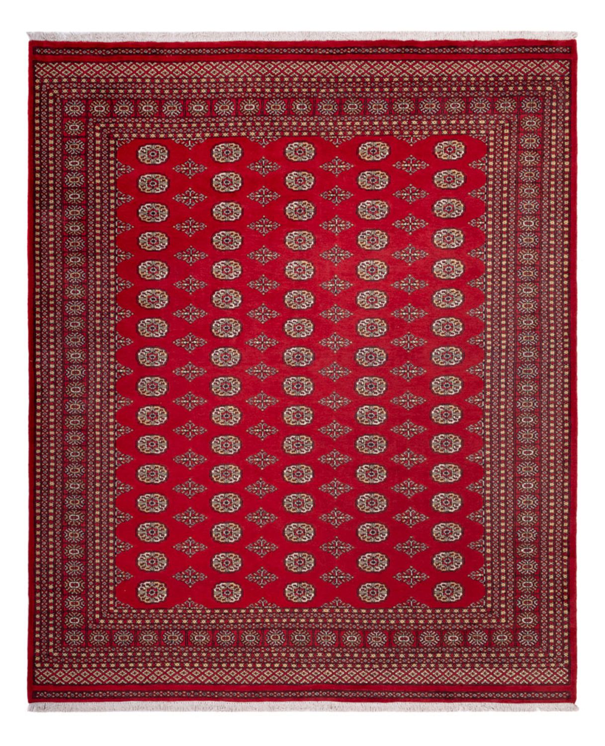 Tappeto afgano - Bukhara - 305 x 252 cm - rosso