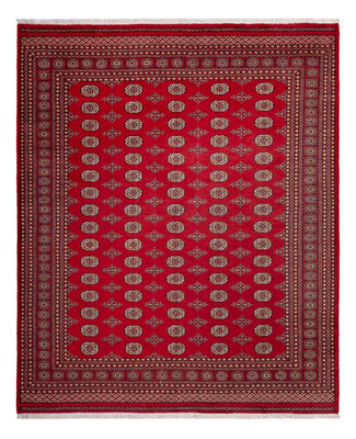 Tappeto afgano - Bukhara - 305 x 252 cm - rosso