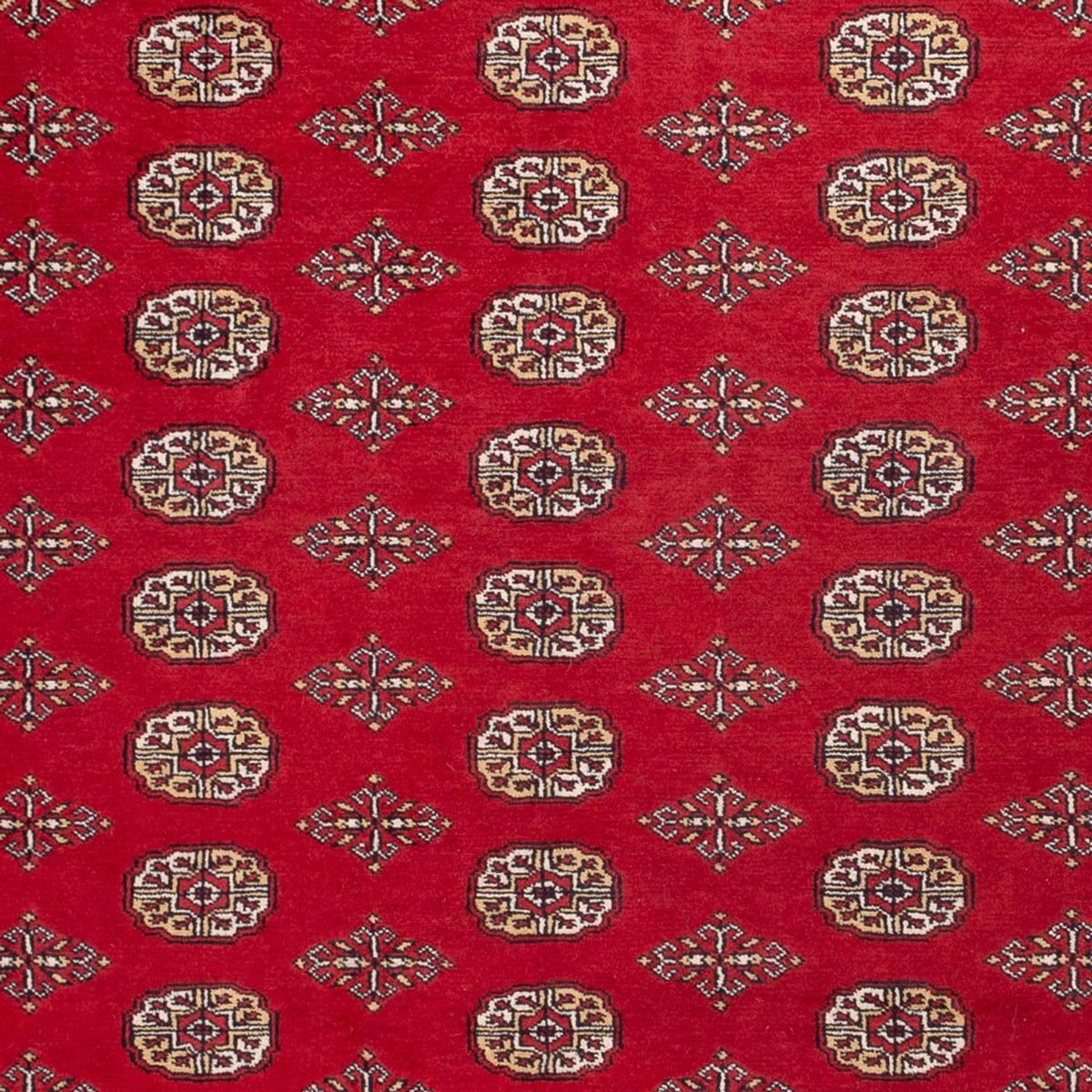 Tappeto afgano - Bukhara - 305 x 252 cm - rosso