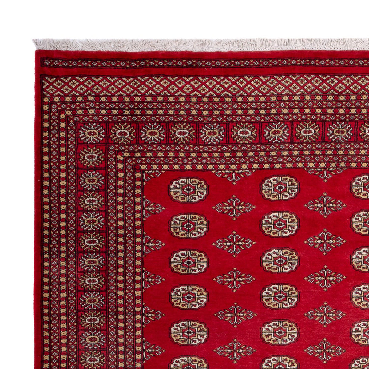 Tappeto afgano - Bukhara - 305 x 252 cm - rosso