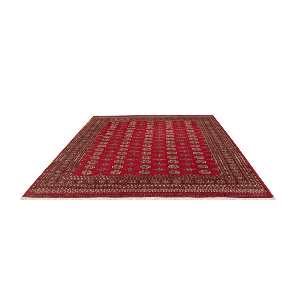 Tappeto afgano - Bukhara - 305 x 252 cm - rosso