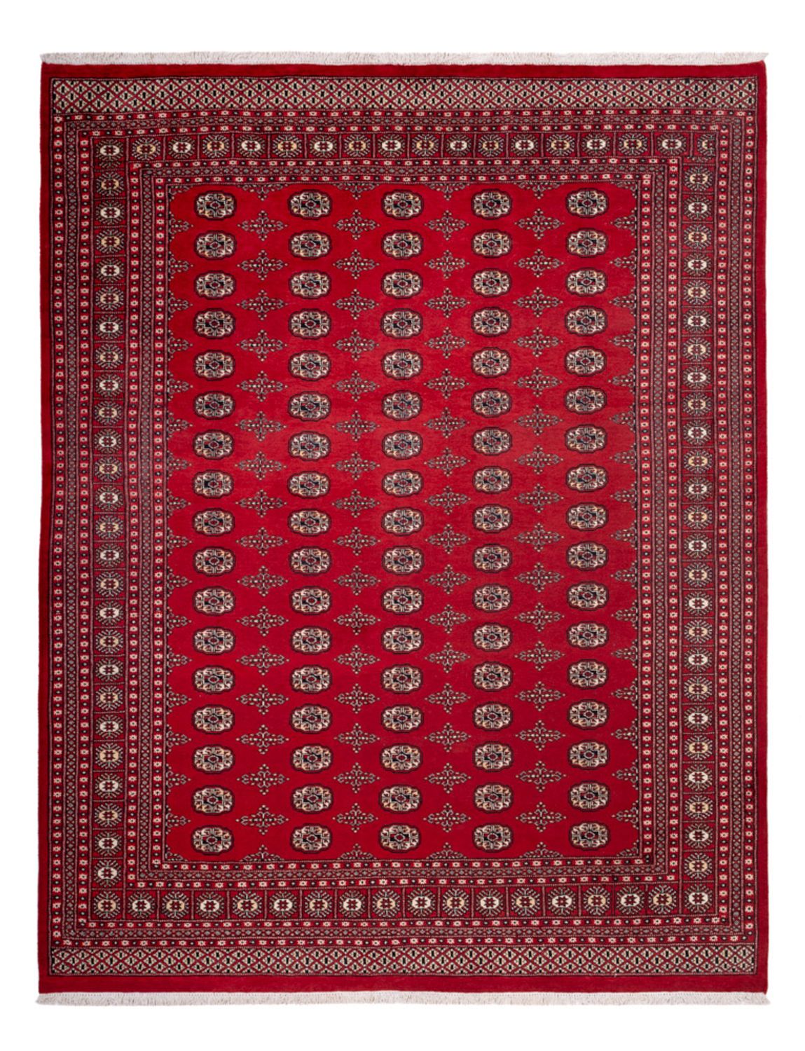 Tappeto afgano - Bukhara - 319 x 250 cm - rosso
