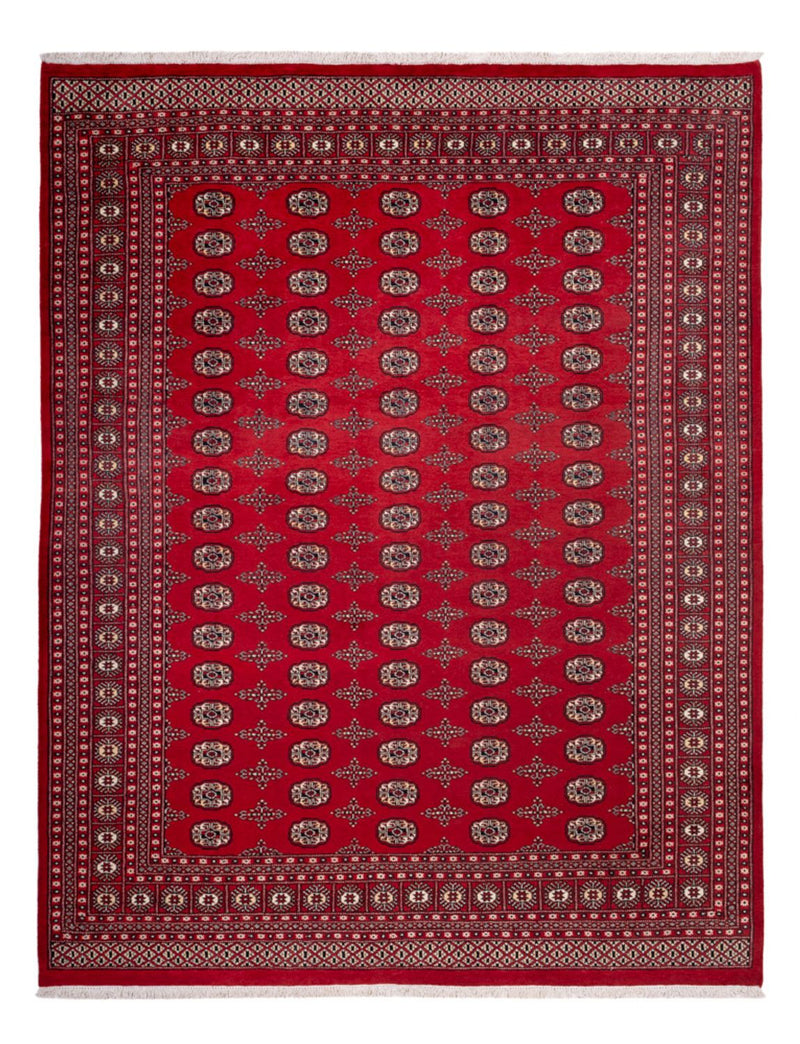 Tappeto afgano - Bukhara - 319 x 250 cm - rosso