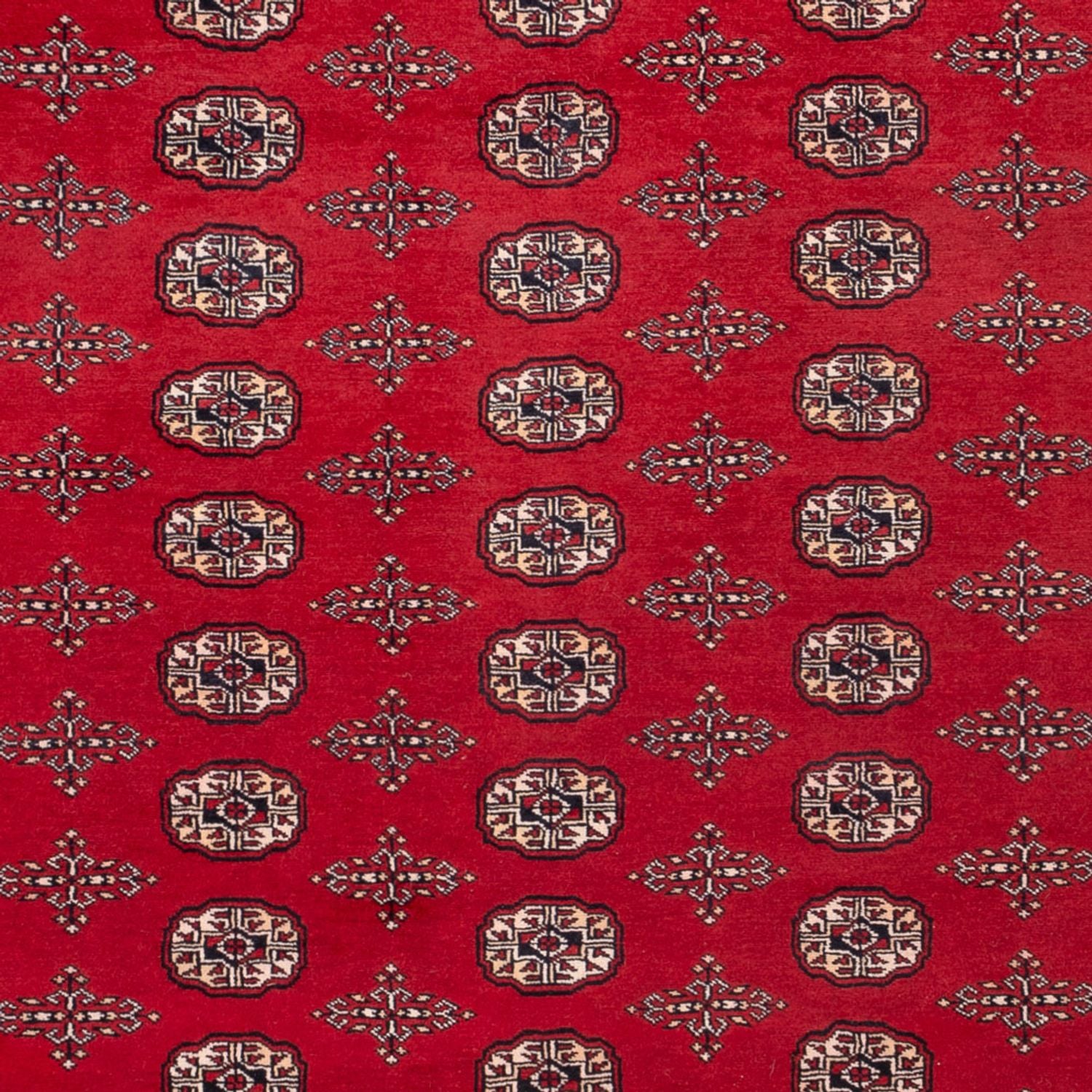 Tappeto afgano - Bukhara - 319 x 250 cm - rosso