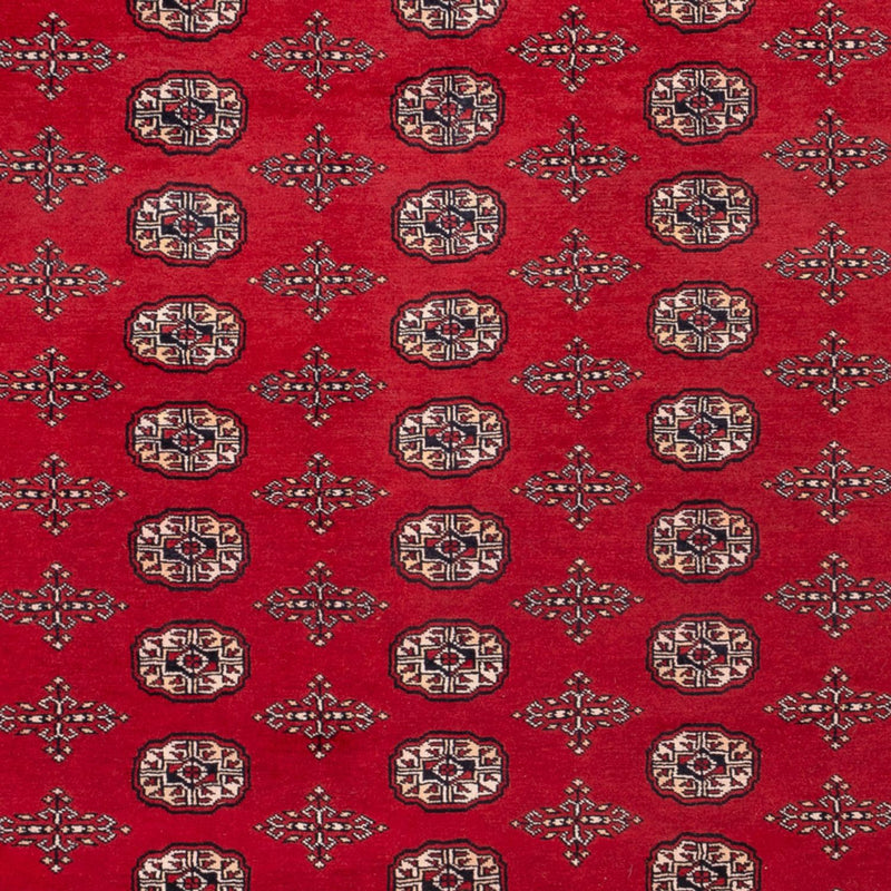 Tappeto afgano - Bukhara - 319 x 250 cm - rosso