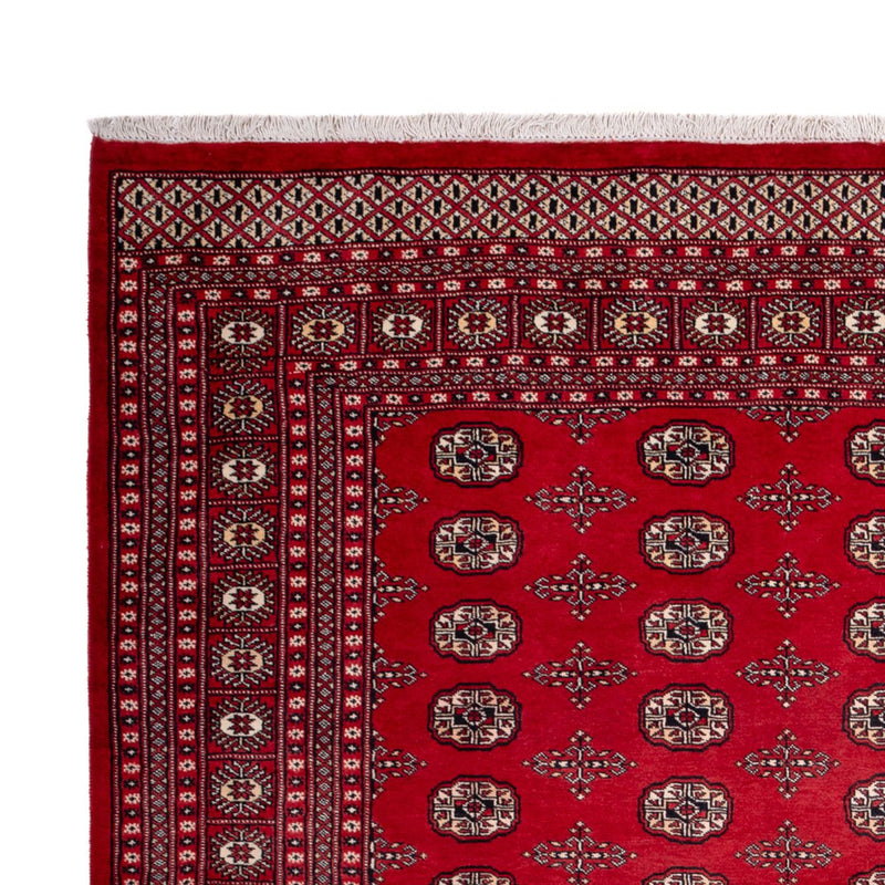 Tappeto afgano - Bukhara - 319 x 250 cm - rosso