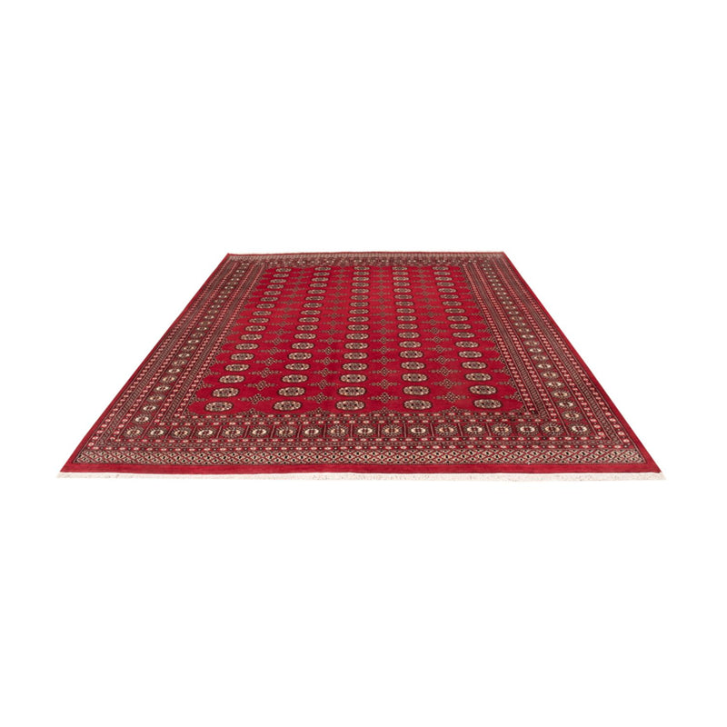 Tappeto afgano - Bukhara - 319 x 250 cm - rosso