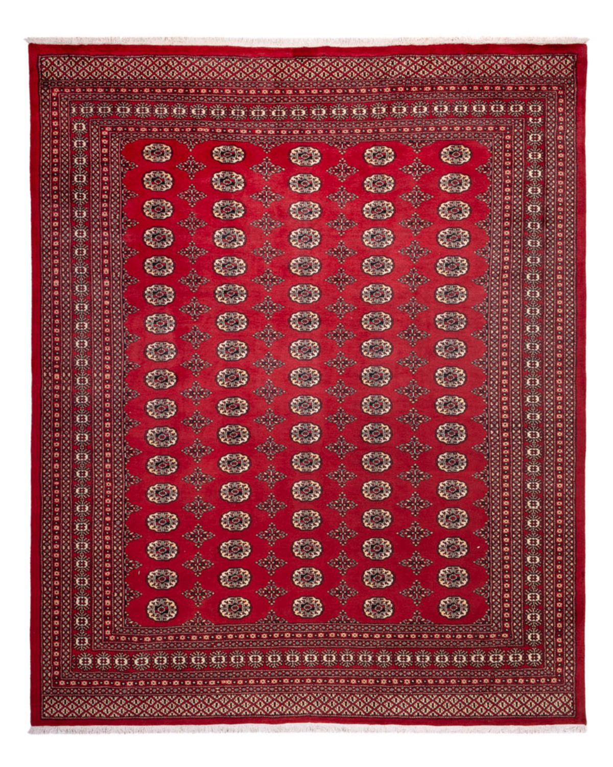 Tappeto afgano - Bukhara - 309 x 248 cm - rosso