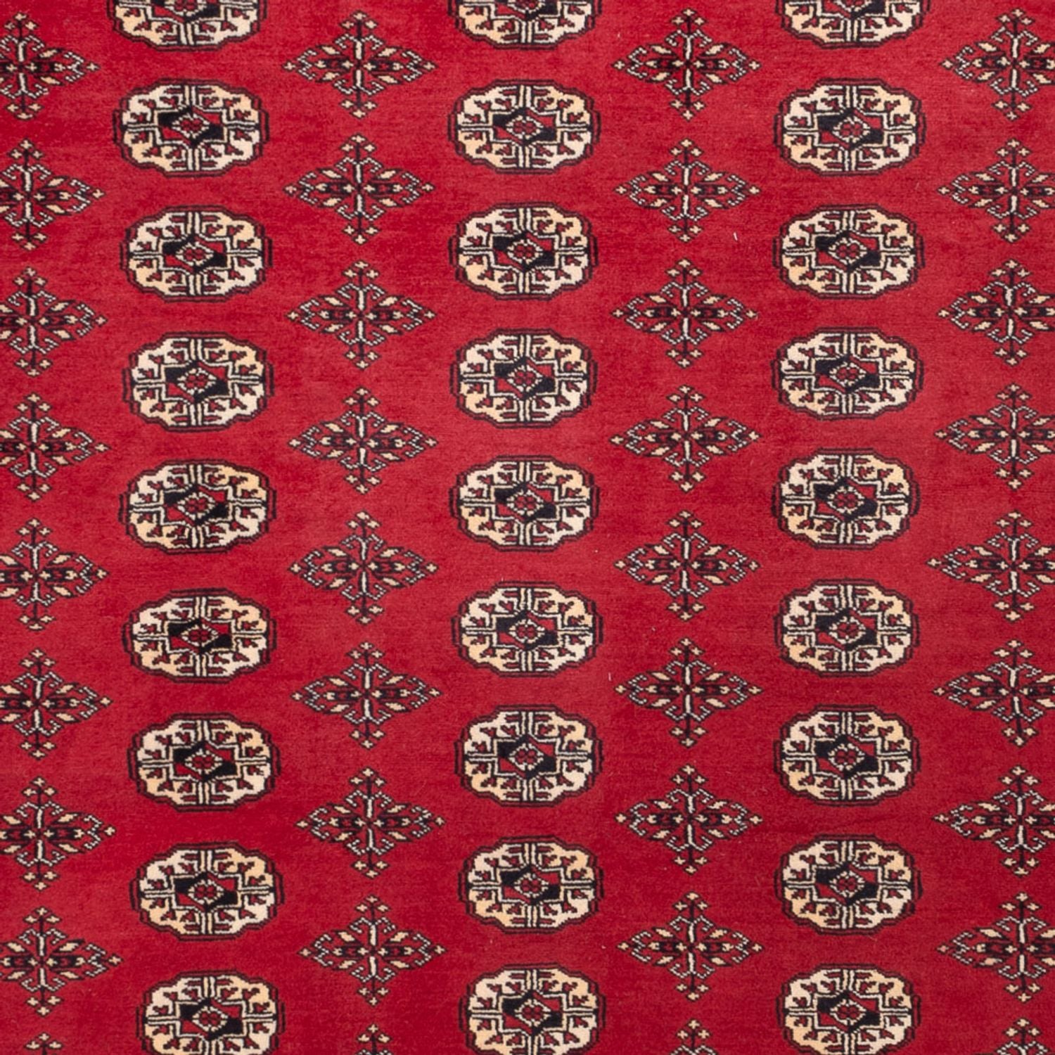 Tappeto afgano - Bukhara - 309 x 248 cm - rosso