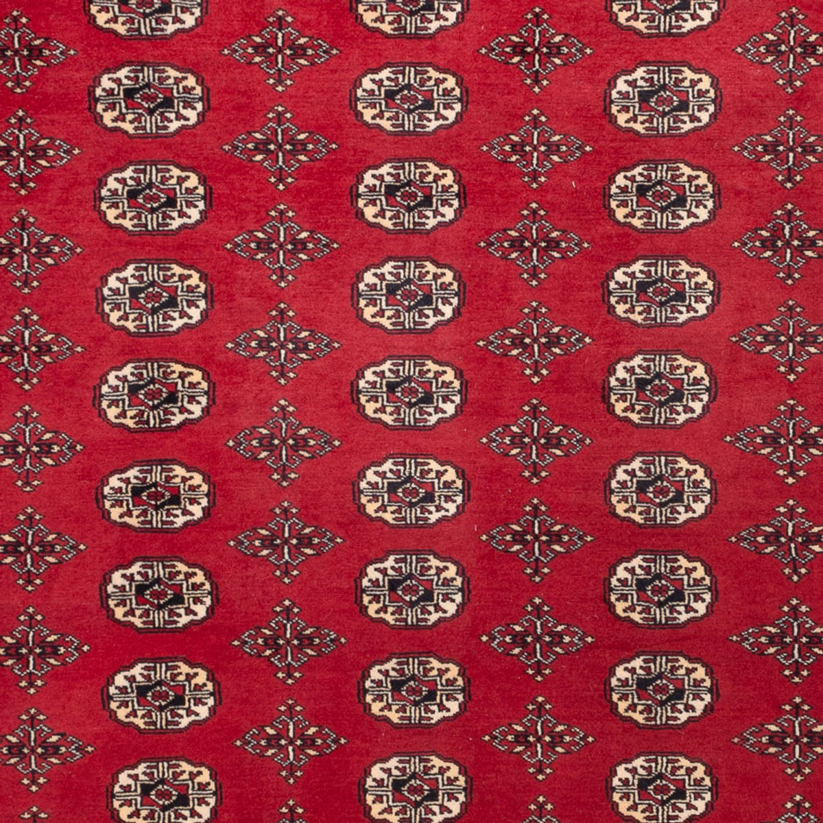 Tappeto afgano - Bukhara - 309 x 248 cm - rosso