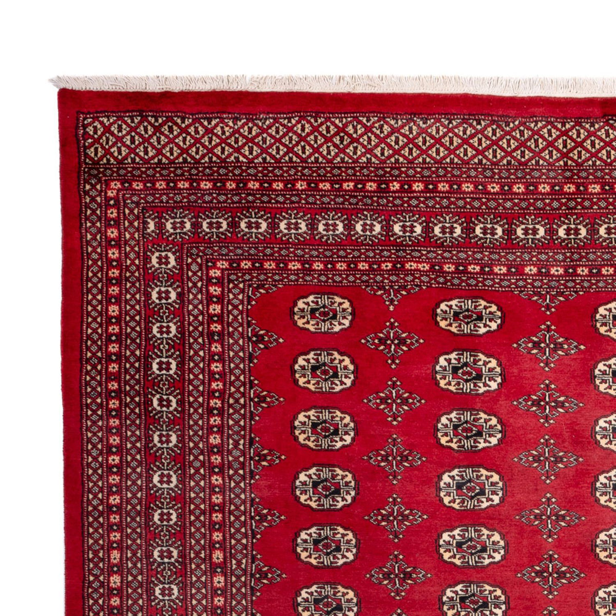 Tappeto afgano - Bukhara - 309 x 248 cm - rosso