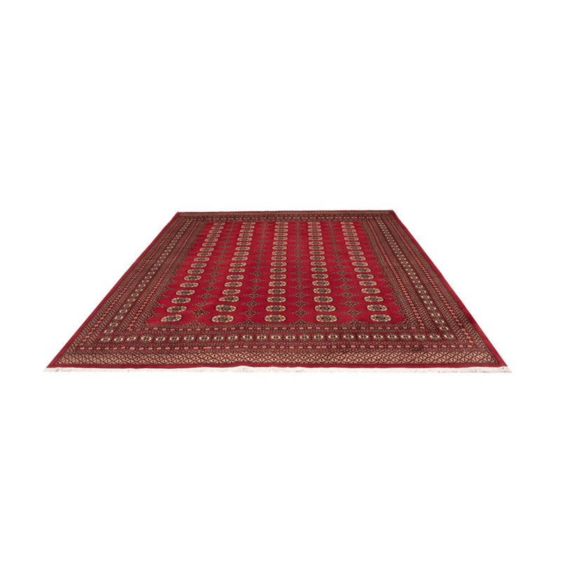 Tappeto afgano - Bukhara - 309 x 248 cm - rosso