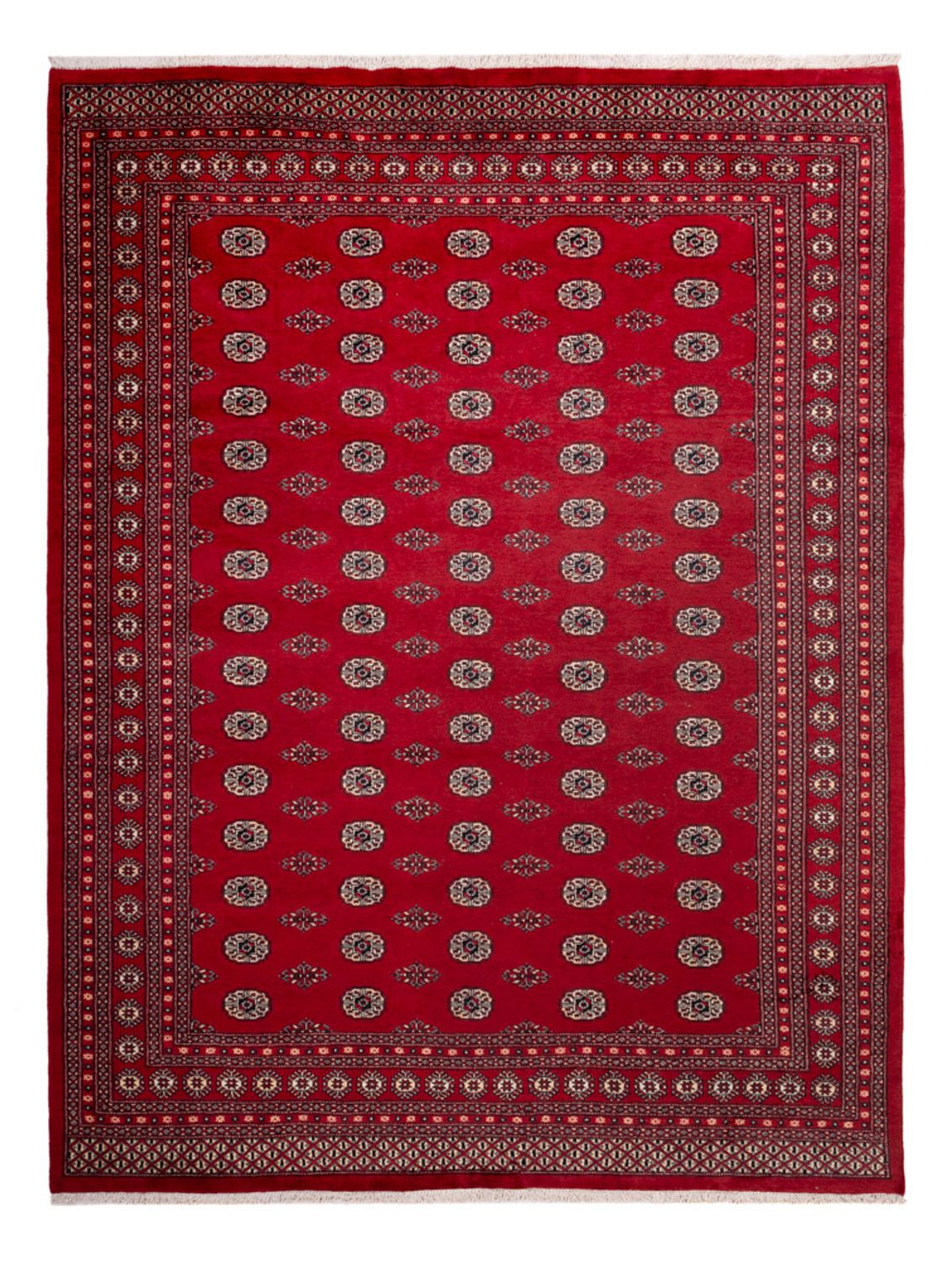 Tappeto afgano - Bukhara - 323 x 248 cm - rosso