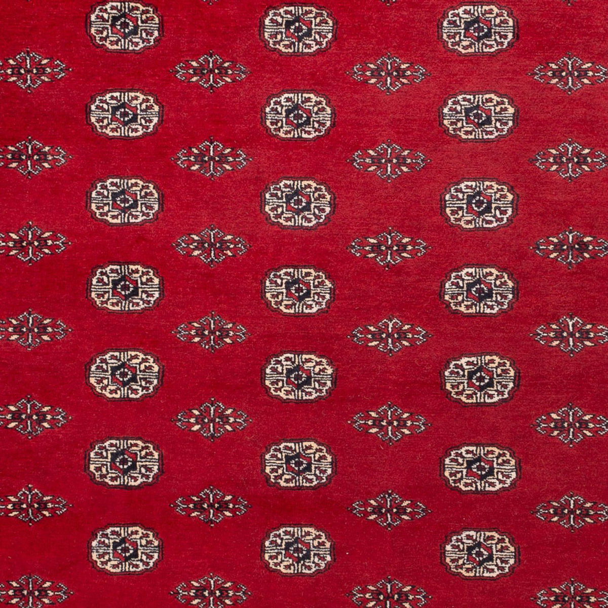 Tappeto afgano - Bukhara - 323 x 248 cm - rosso
