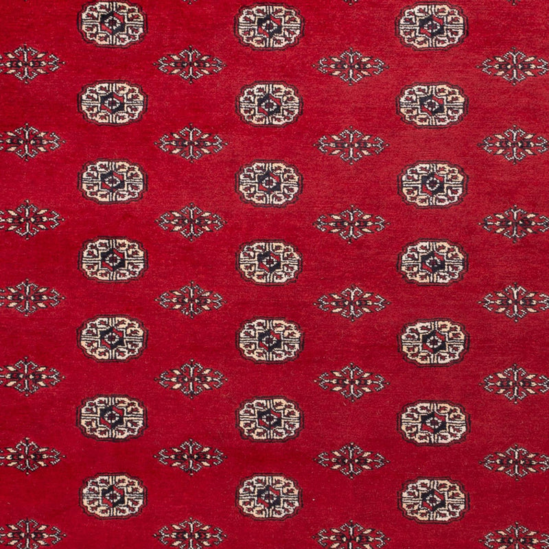 Tappeto afgano - Bukhara - 323 x 248 cm - rosso